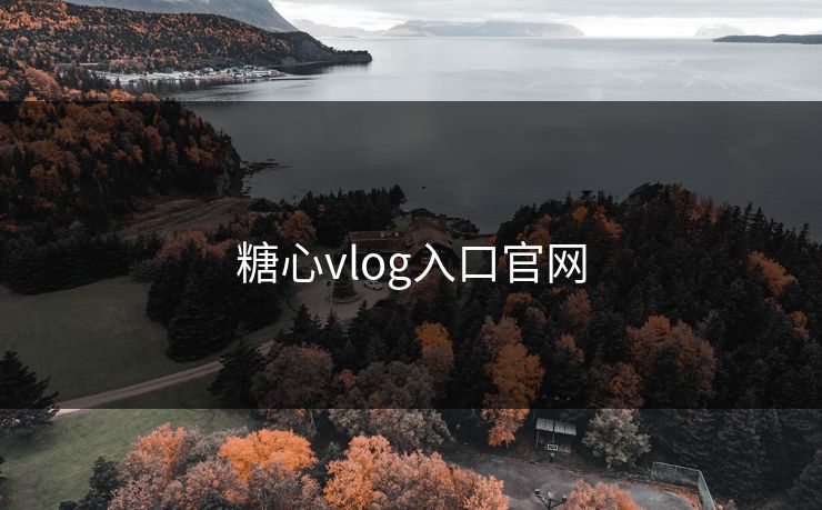 糖心vlog入口官网