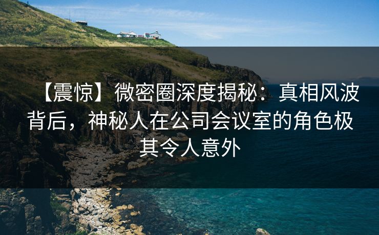 【震惊】微密圈深度揭秘：真相风波背后，神秘人在公司会议室的角色极其令人意外