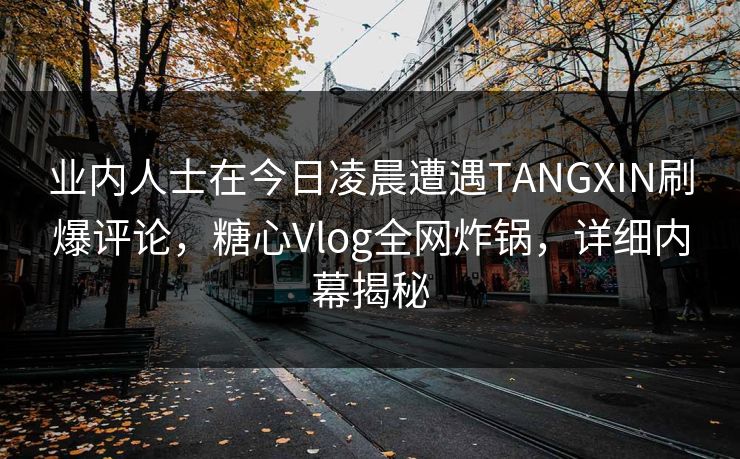 业内人士在今日凌晨遭遇TANGXIN刷爆评论，糖心Vlog全网炸锅，详细内幕揭秘