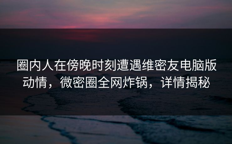圈内人在傍晚时刻遭遇维密友电脑版动情，微密圈全网炸锅，详情揭秘