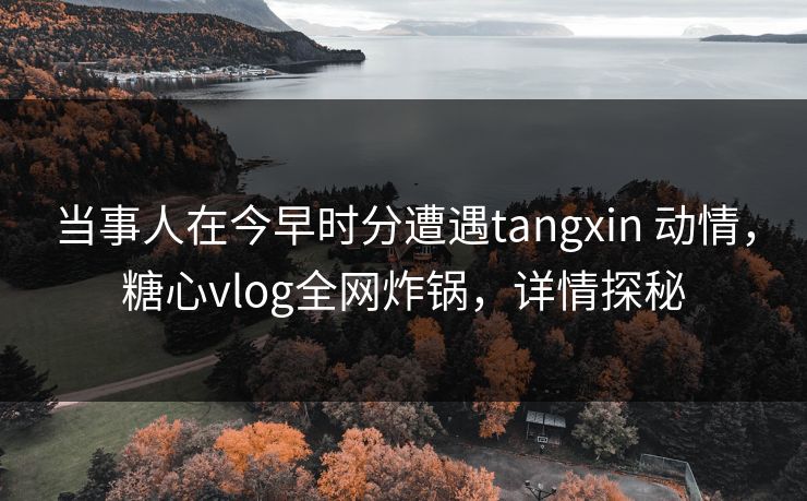当事人在今早时分遭遇tangxin 动情，糖心vlog全网炸锅，详情探秘
